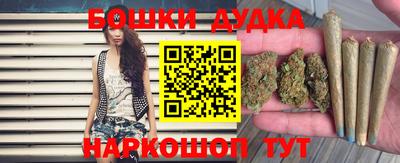 индика Канаш
