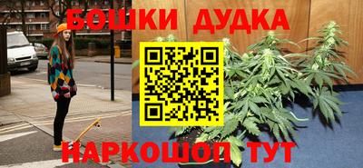 индика Канаш