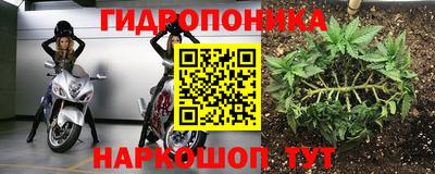 наркотики Камышлов