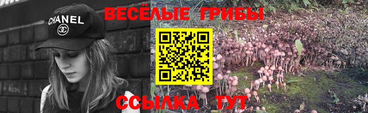Псилоцибиновые грибы Psilocybe Красный Сулин